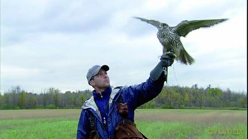 Im Reich der Tiere - 32 Stunden fesselnde und atemberaubende Tierdokumentationen mit einzigartigen Aufnahmen - Dokumentationen für Naturliebhaber und Tierfreunde [DVD]