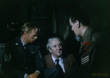 Kennwort: Berlin-Tempelhof (1955) - Deutsche DVD-Premiere - Über 2 Stunden Extras - Mit Richard Widmark - Restauriertes Master [DVD]