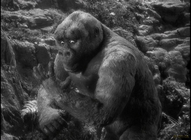 King Kongs Sohn (Son of Kong) - Erstmals mit deutscher Synchronfassung (Filmjuwelen) [DVD]