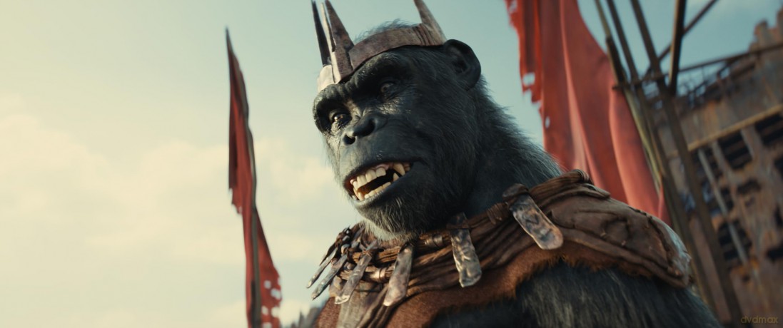 Kingdom of the Planet of the Apes (Królestwo Planety Małp) (steelbook) [Blu-Ray 4K]+[Blu-Ray]