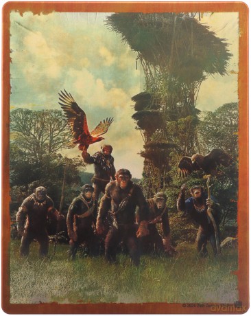 Kingdom of the Planet of the Apes (Królestwo Planety Małp) (steelbook) [Blu-Ray 4K]+[Blu-Ray]