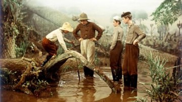 Reise in die Urzeit (Filmjuwelen) [DVD]