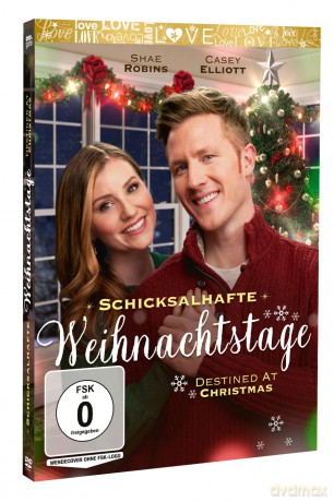 Schicksalhafte Weihnachtstage - Destined At Christmas [DVD]