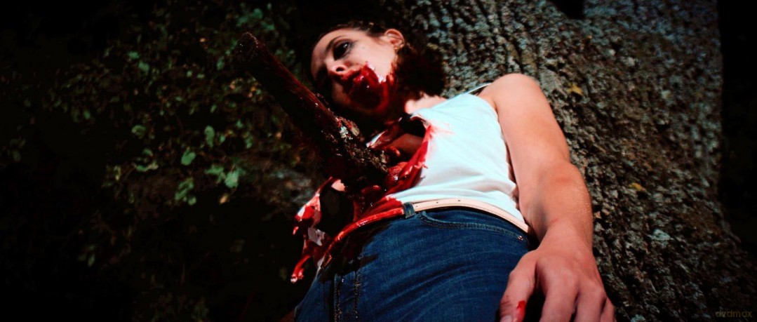 Slasher [DVD]