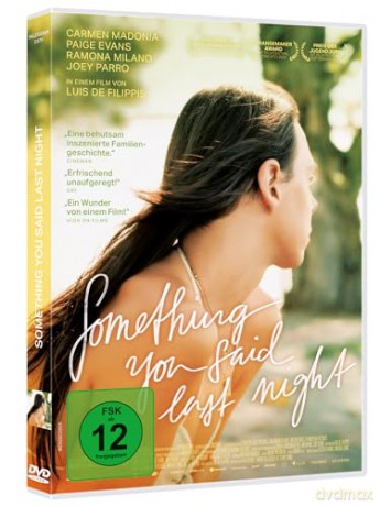 Something You Said Last Night (OmU) [DVD]