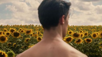 Sunflower (OmU) [DVD]