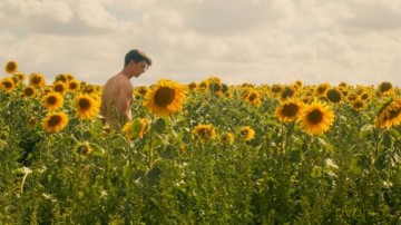 Sunflower (OmU) [DVD]
