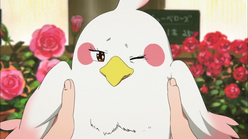 Tamako Market - Volume 1 - Fan-Edition mit limitiertem Sammelschuber [Blu-Ray]