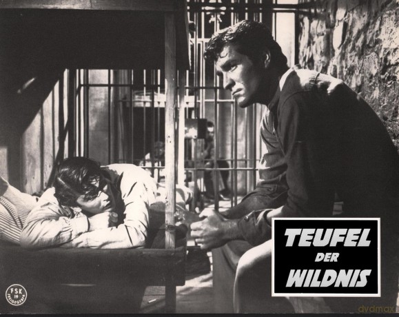 Teufel der Wildnis [DVD]