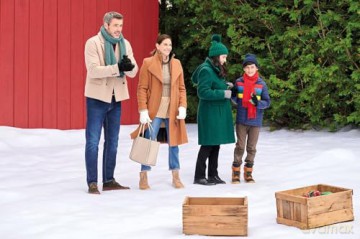 Traummann fürs Weihnachtsfest gesucht [DVD]