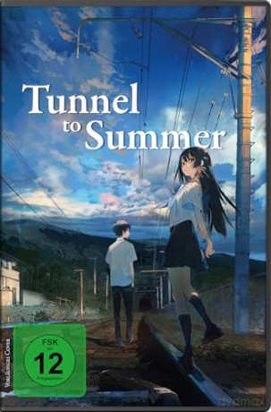 Tunnel to Summer (DVD) [DVD]