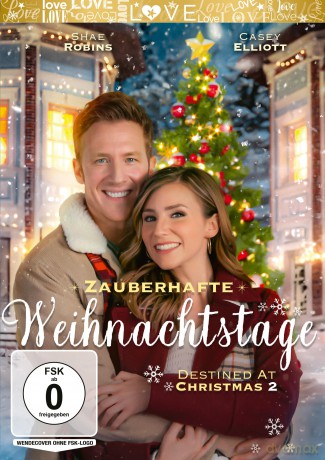 Zauberhafte Weihnachtstage - Destined at Christmas 2 [DVD]