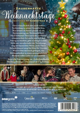 Zauberhafte Weihnachtstage - Destined at Christmas 2 [DVD]