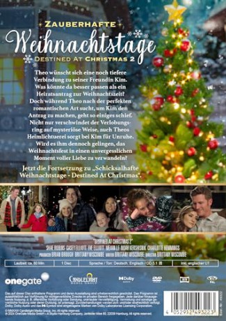 Zauberhafte Weihnachtstage - Destined at Christmas 2 [DVD]