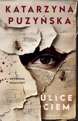 Ulice ciem - Katarzyna Puzyńska [KSIĄŻKA]