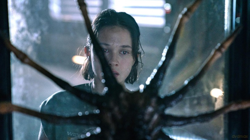 Alien: Romulus [DVD]