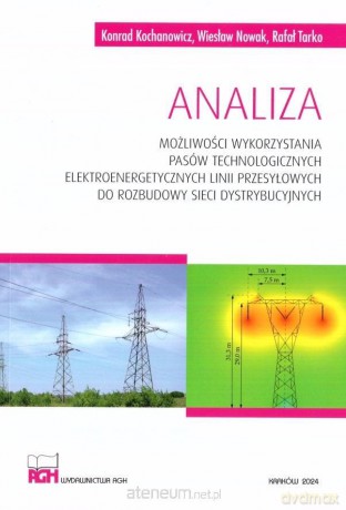 Analiza możliwości wykorzystania pasów technologicznych - Rafał Tarko, Wiesław Nowak, Konrad Kochanowicz [KSIĄŻKA]