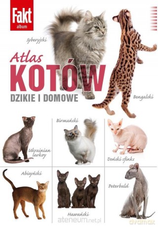 Atlas kotów - Alicja Szewczyk, Robert Szewczyk [KSIĄŻKA]