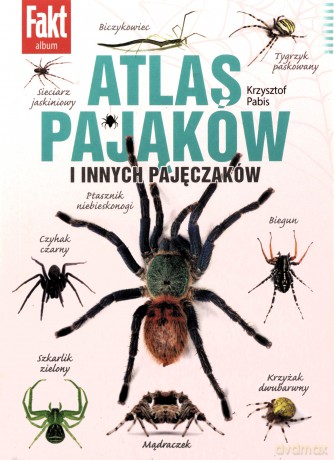 Atlas pająków świata [KSIĄŻKA]