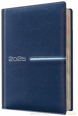 Kalendarz książkowy 2025 dzienny terminarz nieb. [KALENDARZ]