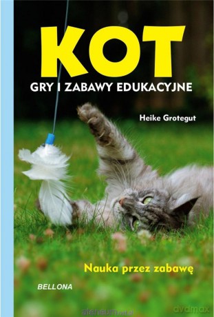 Kot. Gry i zabawy edukacyjne - Heike Grotegut [KSIĄŻKA]