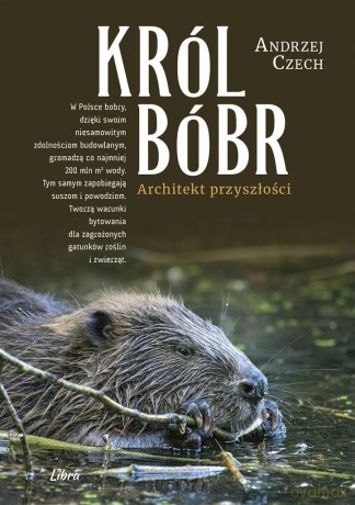 Król Bóbr - Andrzej Czech [KSIĄŻKA]