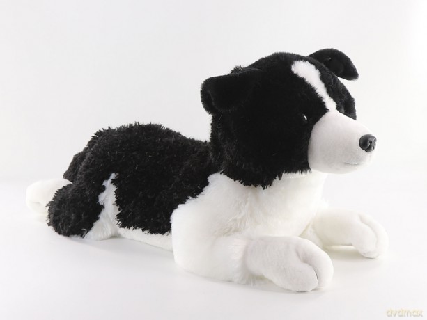 Maskotka pies Border Collie 60cm leżący