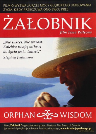 Żałobnik (reż. Tim Wilson) [DVD]