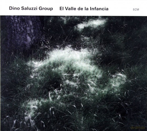 Dino Saluzzi Group: El Valle De La Infancia [CD]