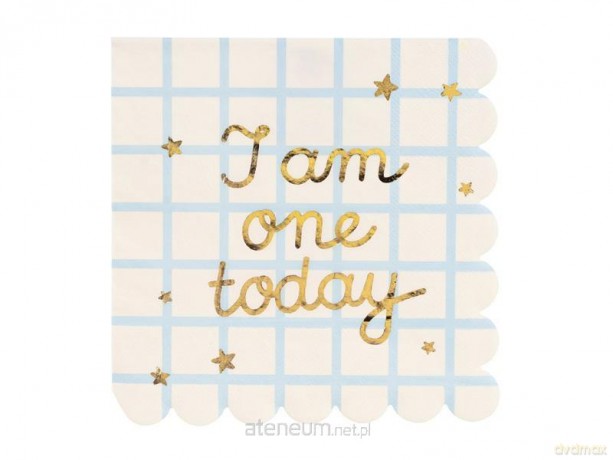 Serwetki papierowe I am one today 33x33cm