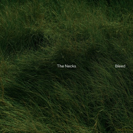 The Necks: Bleed [CD]