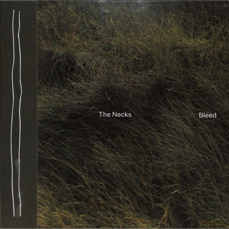 The Necks: Bleed [Winyl]