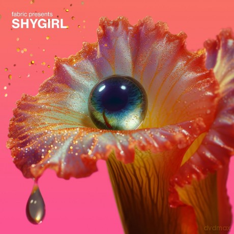 Various Artists feat. Shygirl: fabric presents Shygirl [2xWinyl]