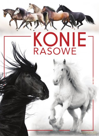 Konie rasowe - Patrycja Zarawska [KSIĄŻKA]