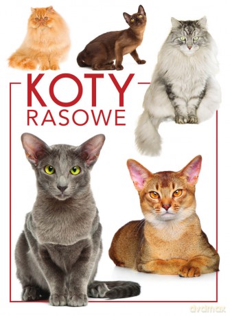 Koty rasowe [KSIĄŻKA]