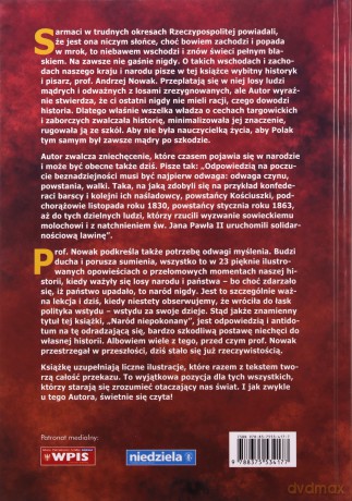 Naród niepokonany. Przełomowe momenty polskiej historii - Andrzej Nowak [KSIĄŻKA]