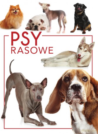 Psy rasowe - Izabela Przeczek [KSIĄŻKA]