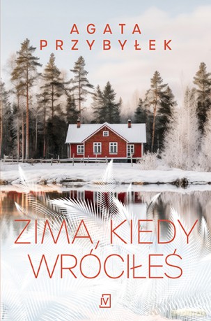 Zima, kiedy wróciłeś - Agata Przybyłek [KSIĄŻKA]