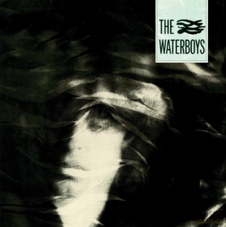 The Waterboys: The Waterboys [WINYL]