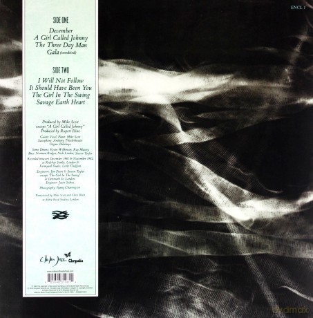 The Waterboys: The Waterboys [WINYL]