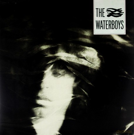 The Waterboys: The Waterboys [WINYL]