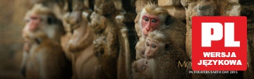Monkey Kingdom (Disney) [Blu-Ray]