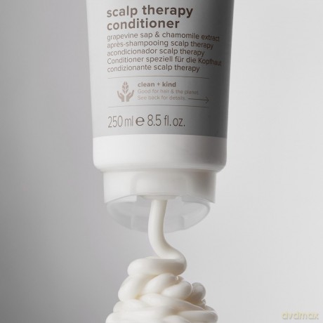 Paul Mitchell Clean Beauty Scalp Therapy Conditioner - Volume: 250 ml dla kobiety