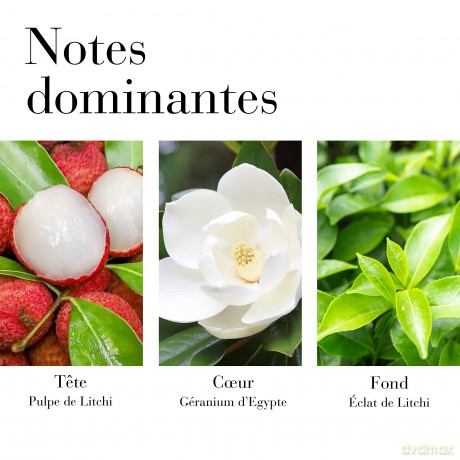 Elizabeth Arden Body cream Green Tea Lychee Lime (Honey Drops Body Cream) 500 ml dla kobiety