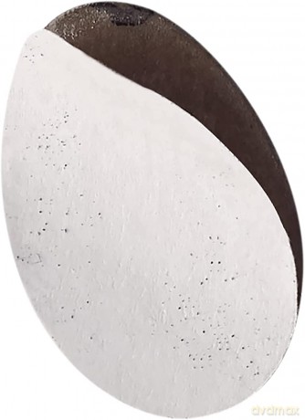 STALEKS Polishing sponge for pedicure disc Pro L (Disposable Files-sponges for Pedicure Disc) 25 pcs unisex
