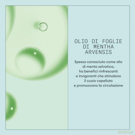 Nioxin Scalp Recovery (Purifying Clean ser Shampoo) - Volume: 200 ml unisex