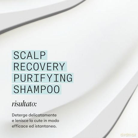 Nioxin Scalp Recovery (Purifying Clean ser Shampoo) - Volume: 200 ml unisex