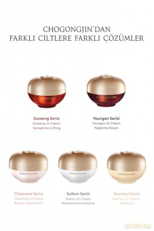 Missha Firming skin cream for sensitive skin Chogongjin (Chaeome Jin Cream) 60 ml dla kobiety