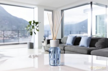 Millefiori Milano Aroma diffuser Natural Blue Posidonia (Blue Posidonia) - Volume: 250 ml unisex