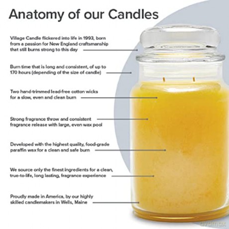 Village Candle Scented candle in glass Gardenia 602 g unisex